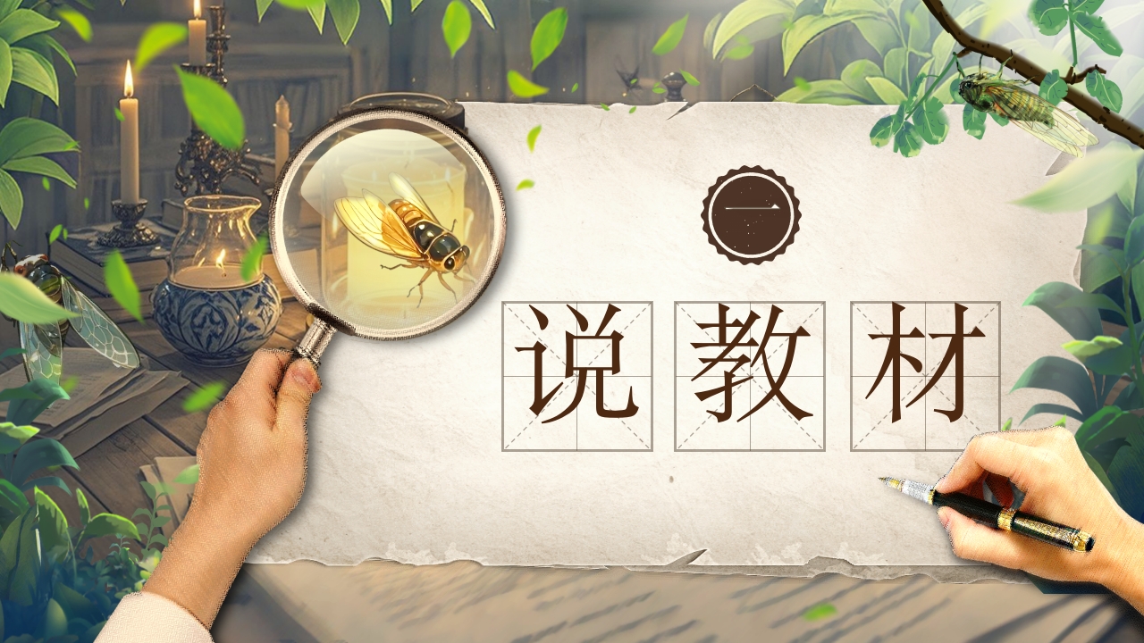 《蝉》说课第3页预览图