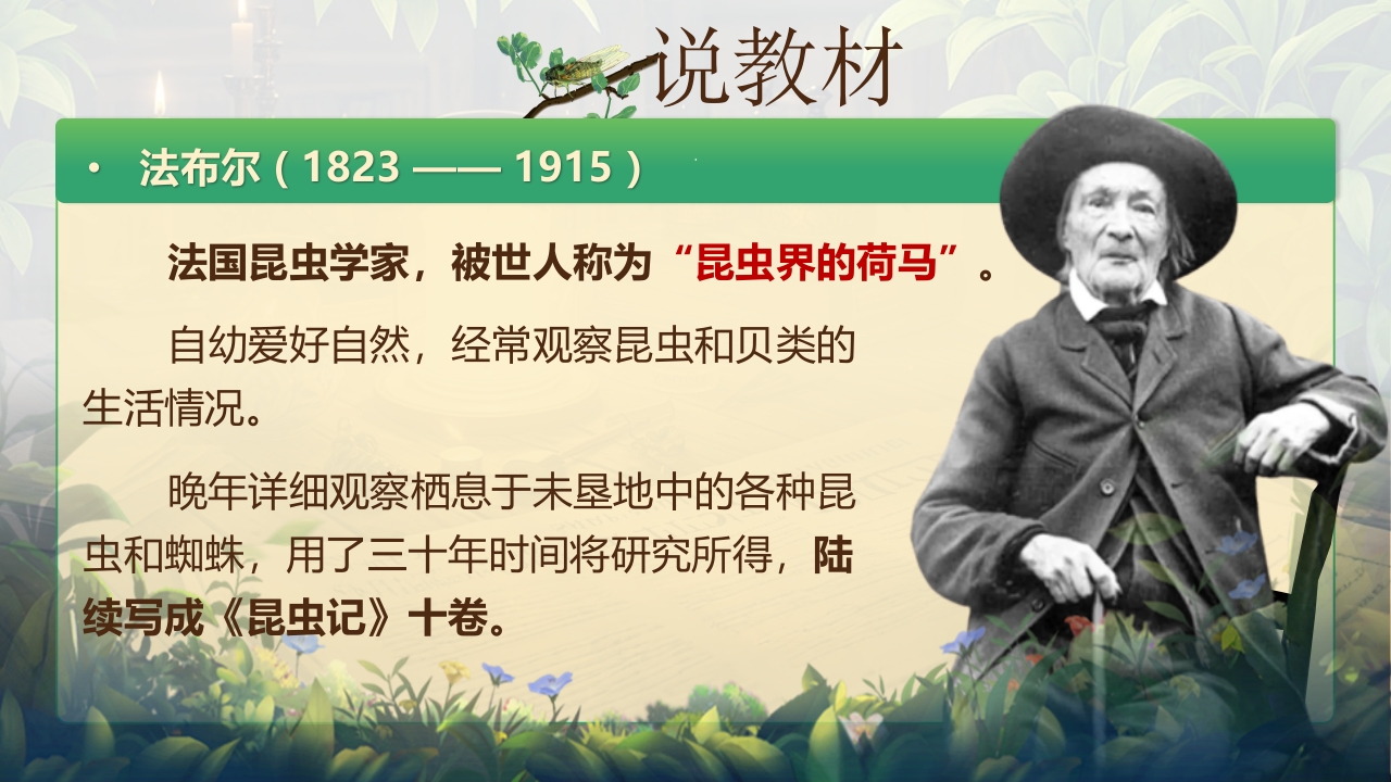 《蝉》说课第4页预览图