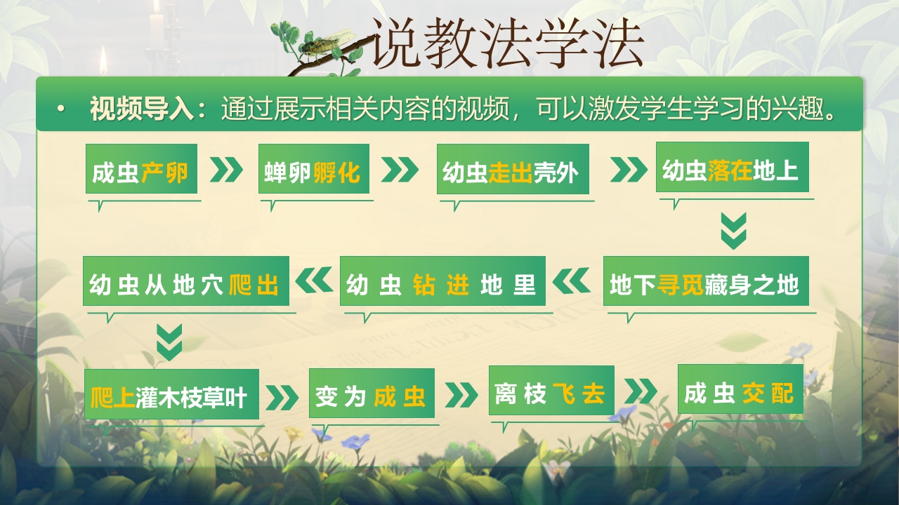 《蝉》说课第8页预览图