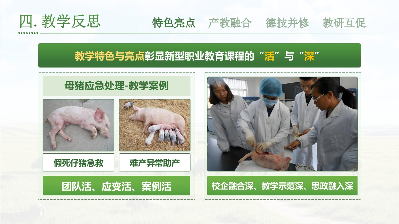 《科学化母猪生产》第6页预览图