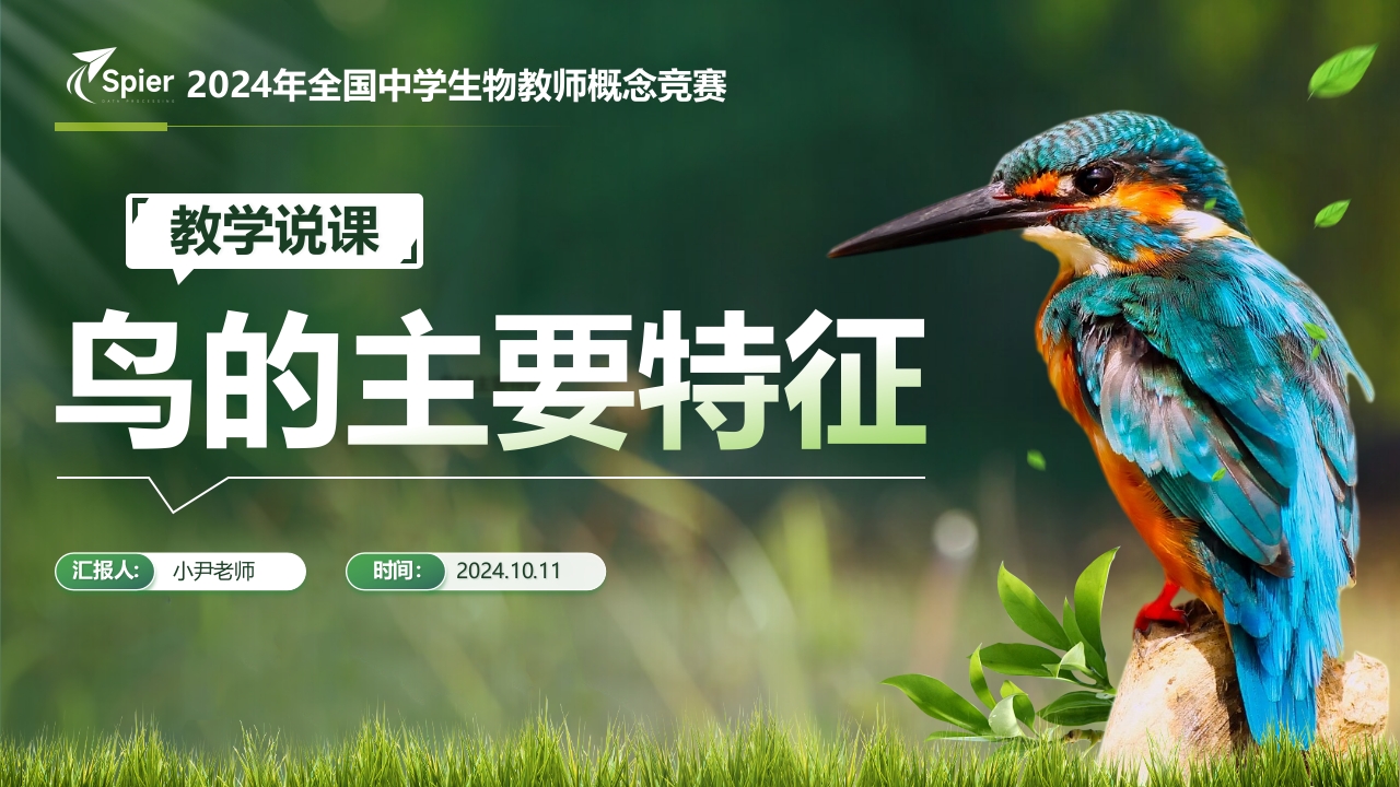 鸟的主要特征