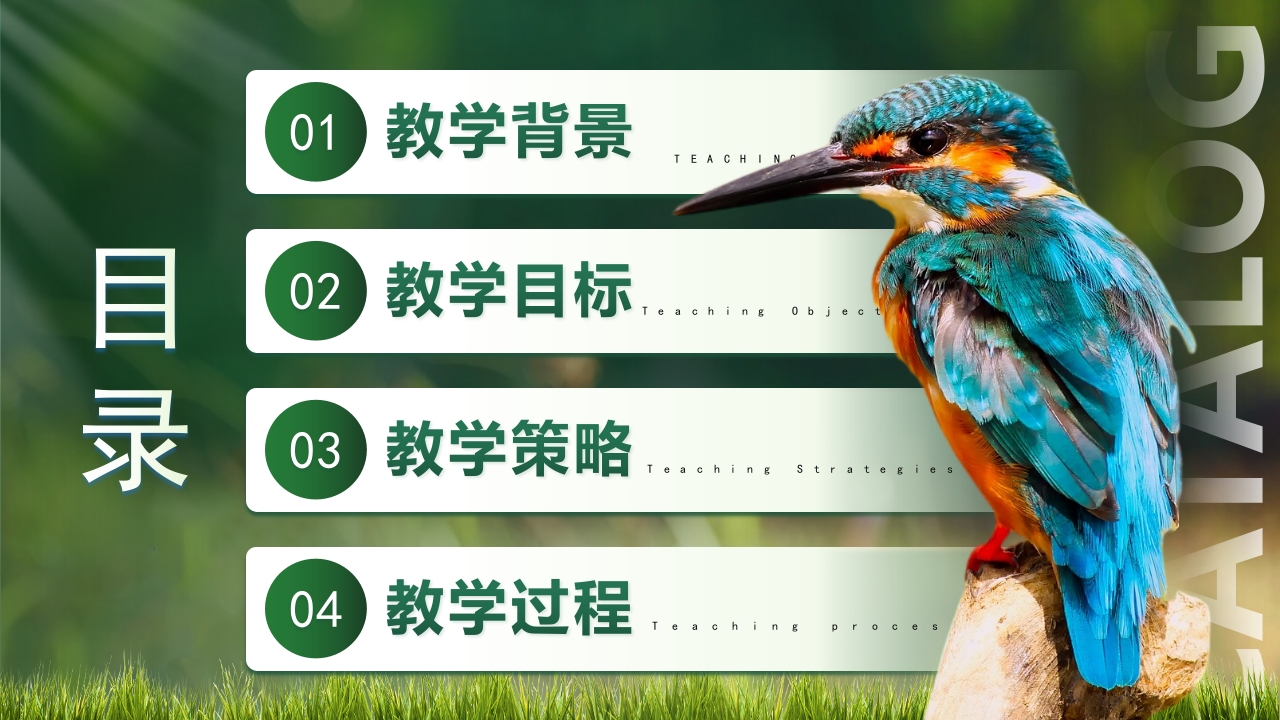 鸟的主要特征第2页预览图