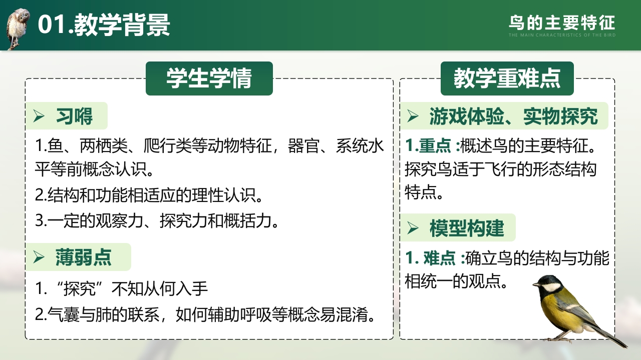 鸟的主要特征第3页预览图