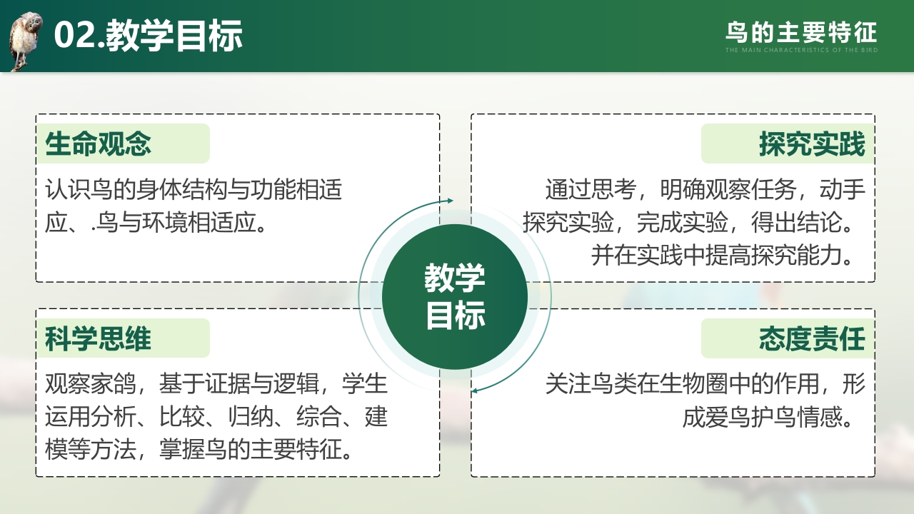 鸟的主要特征第4页预览图