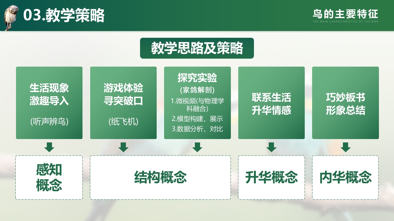 鸟的主要特征第5页预览图