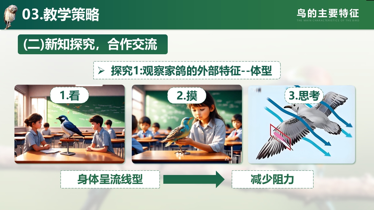鸟的主要特征第7页预览图