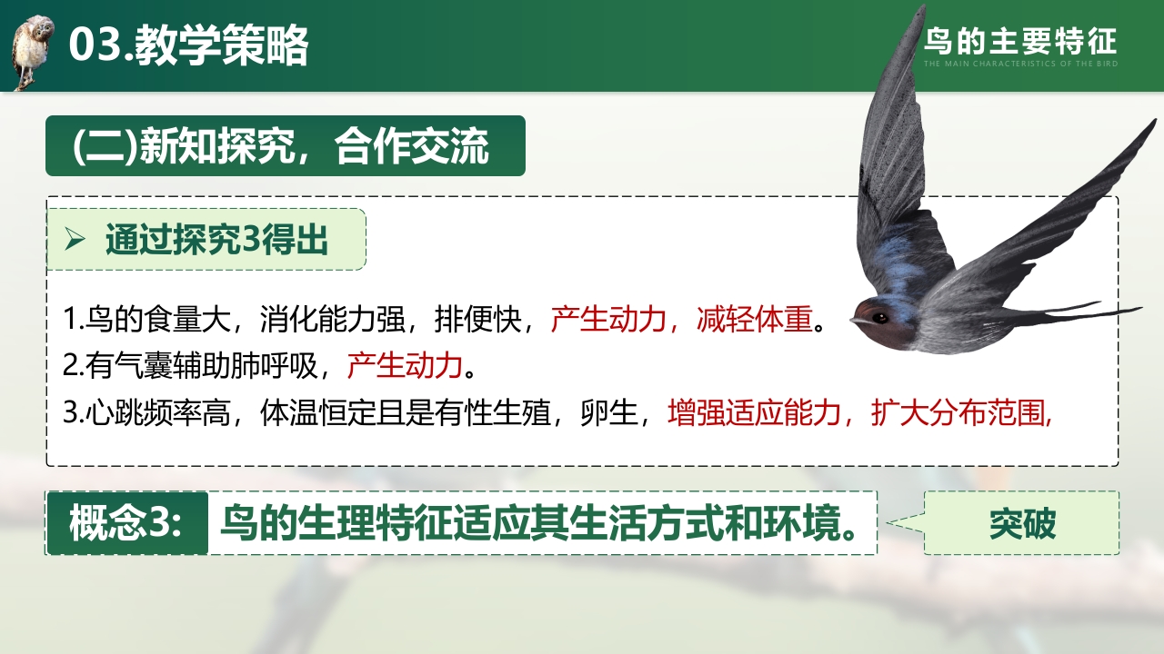 鸟的主要特征第8页预览图
