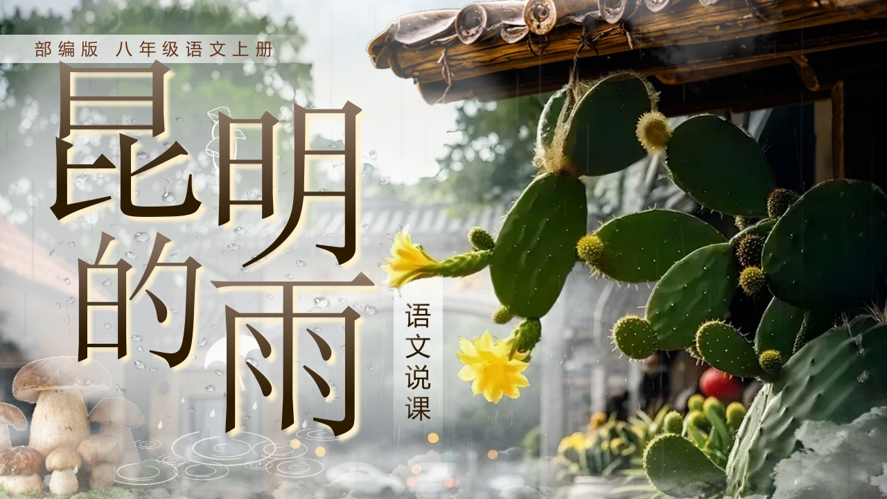 《昆明的雨》说课
