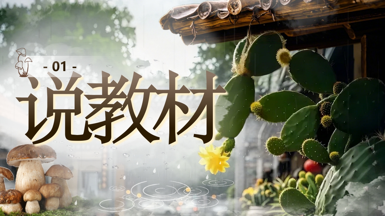 《昆明的雨》说课第3页预览图