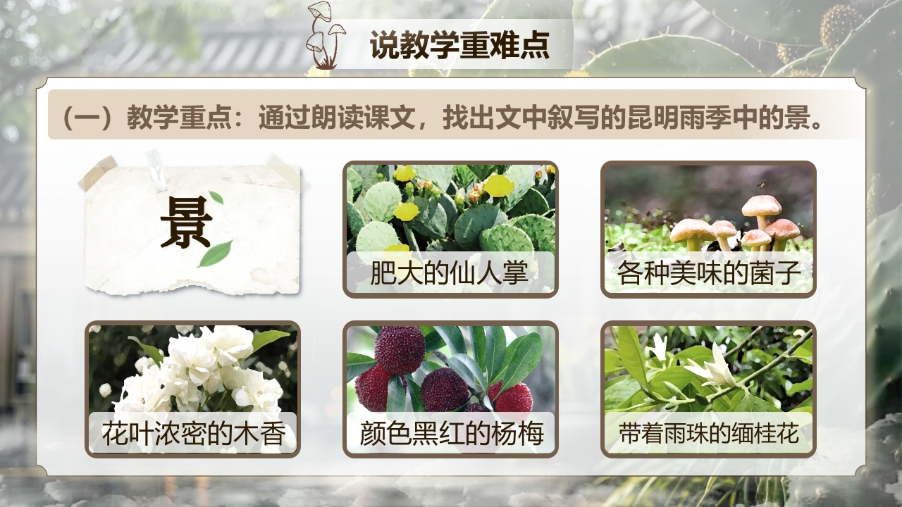 《昆明的雨》说课第5页预览图