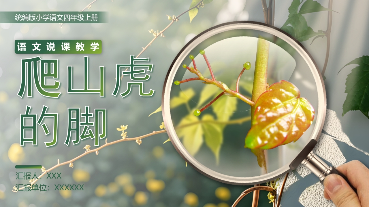 《爬山虎的脚》说课