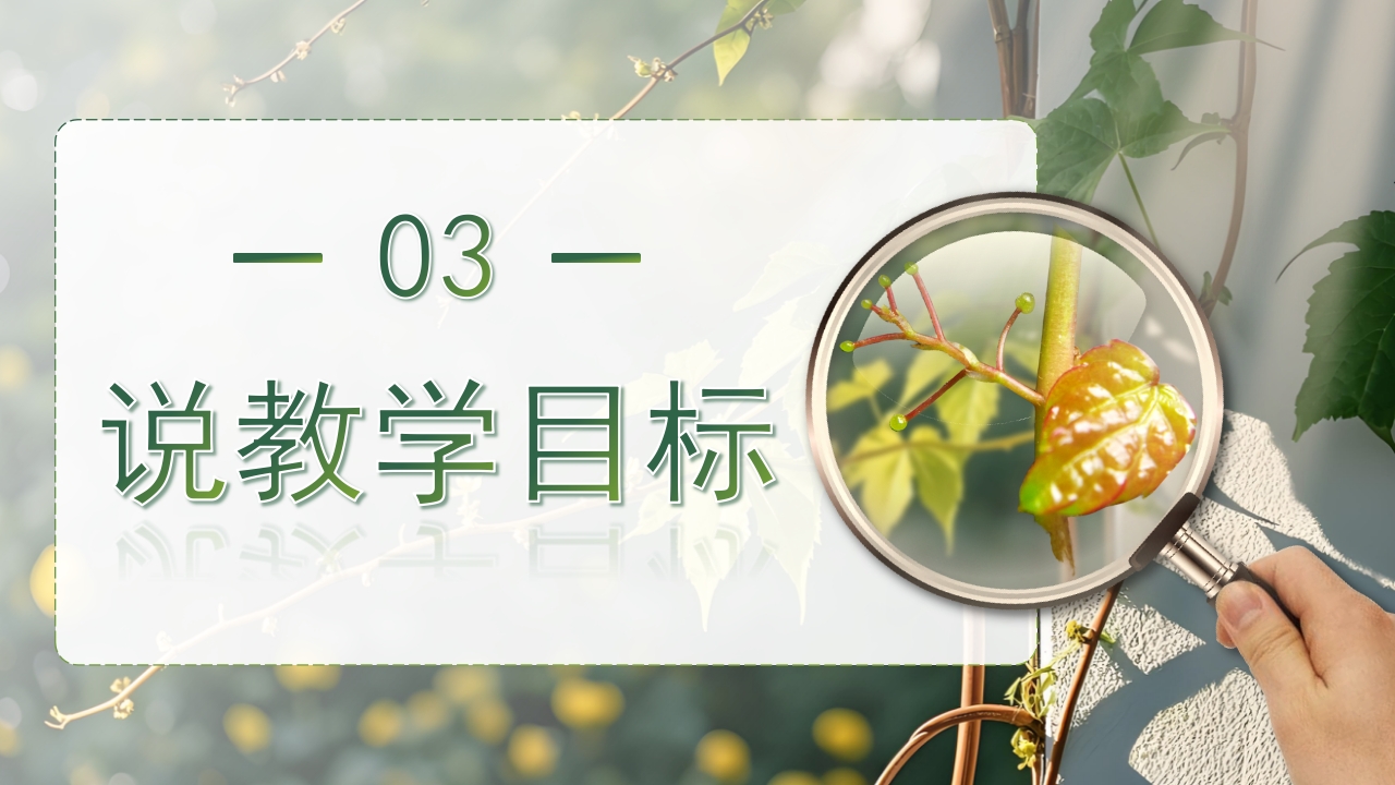 《爬山虎的脚》说课第3页预览图