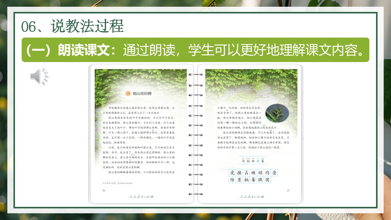 《爬山虎的脚》说课第7页预览图