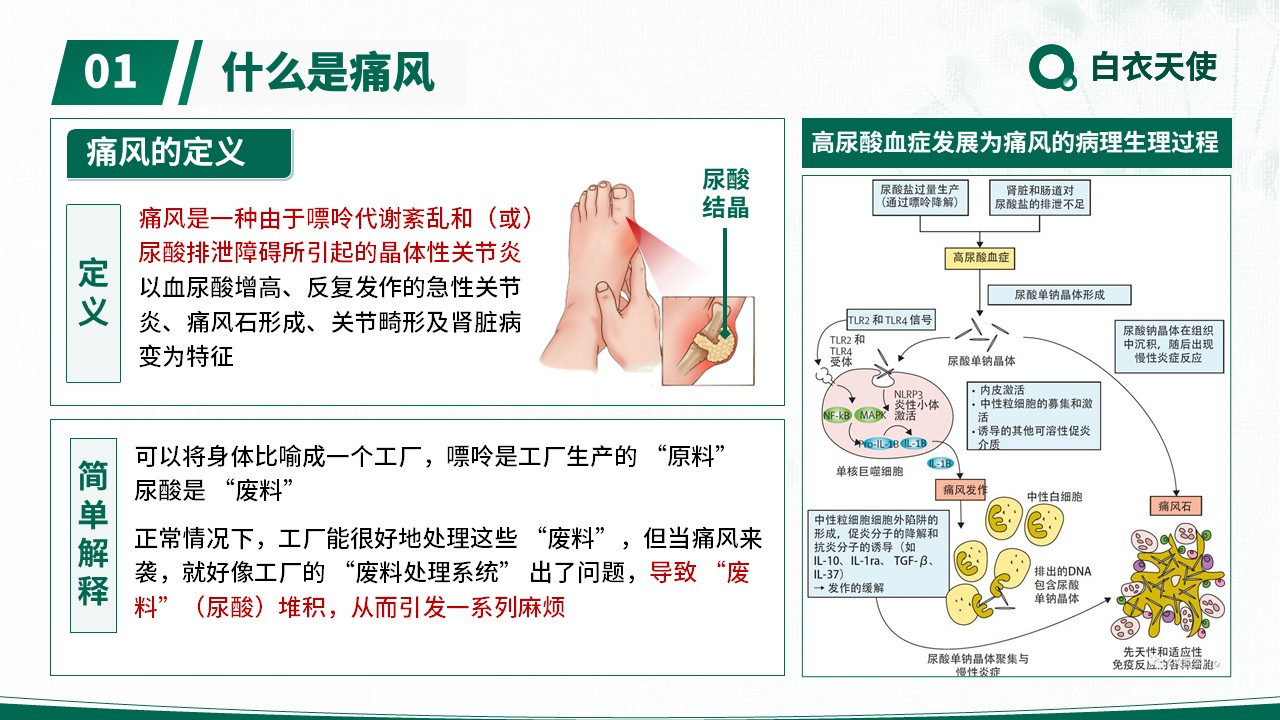 17-警惕痛风健康宣教第3页预览