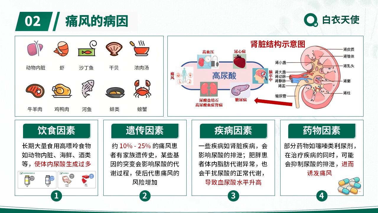 17-警惕痛风健康宣教第4页预览