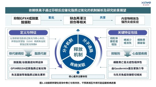 3-2损伤相关分子模式