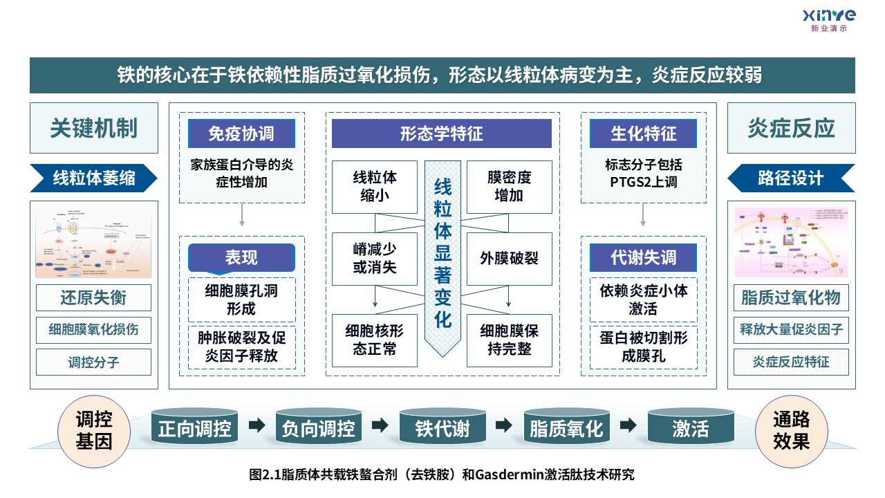 3-2损伤相关分子模式第2页预览图