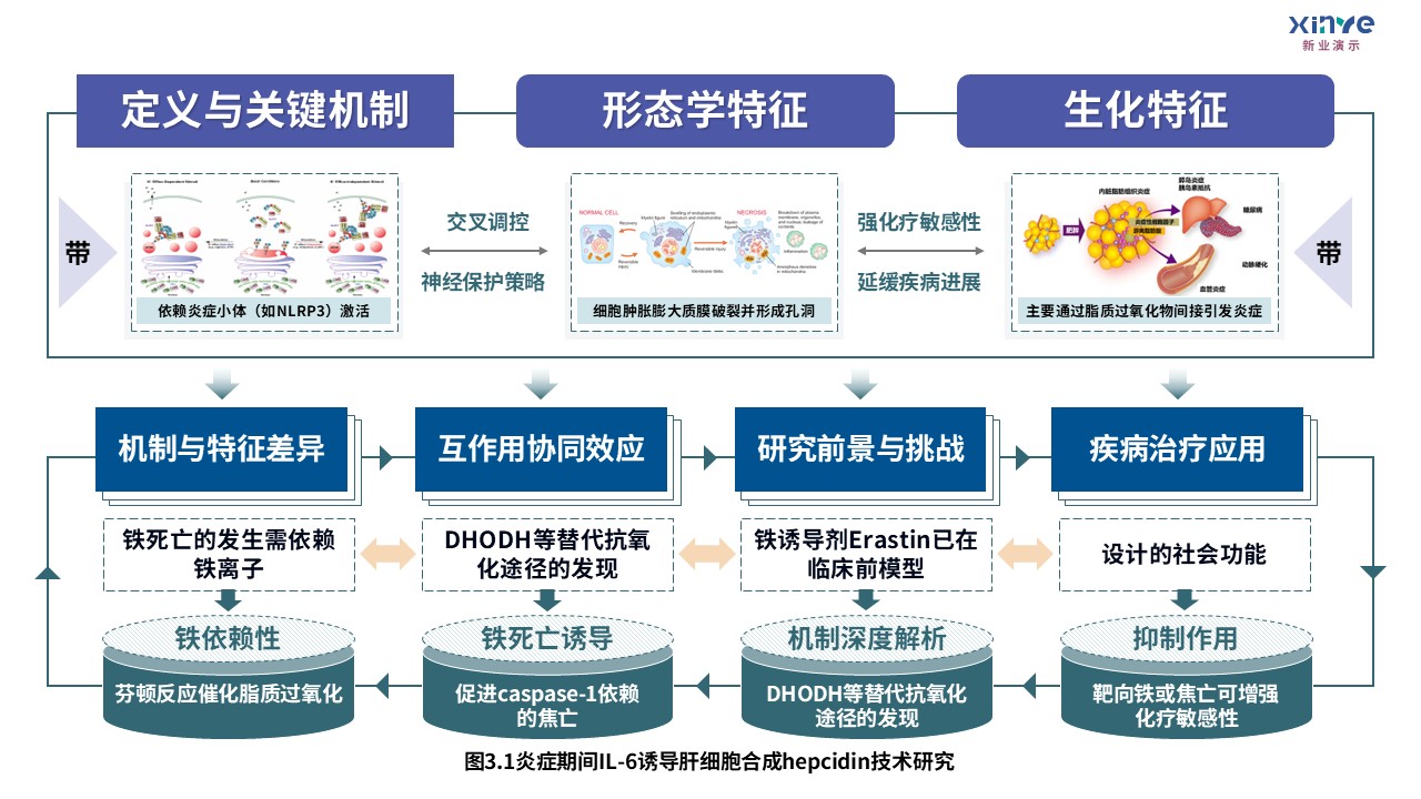 3-2损伤相关分子模式第3页预览图