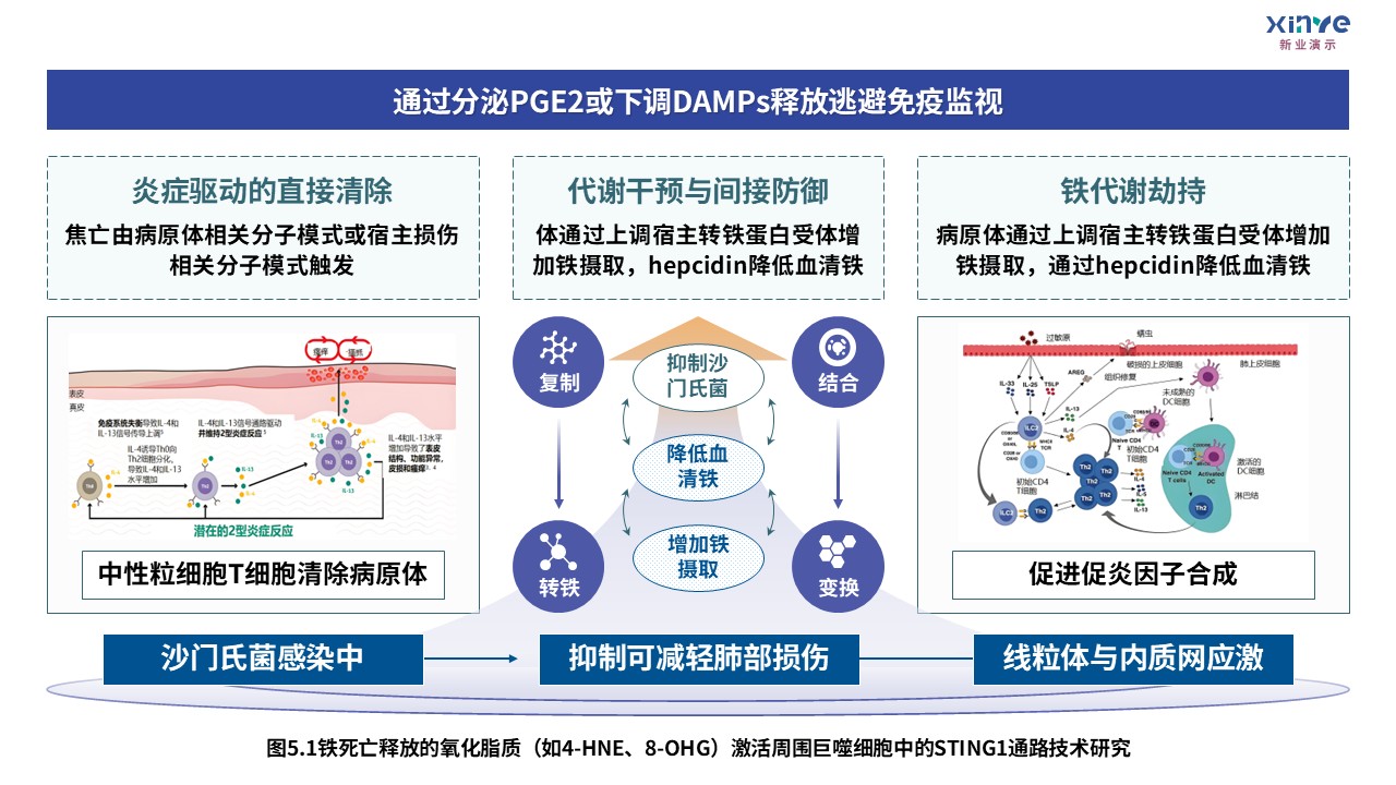 3-2损伤相关分子模式第5页预览图