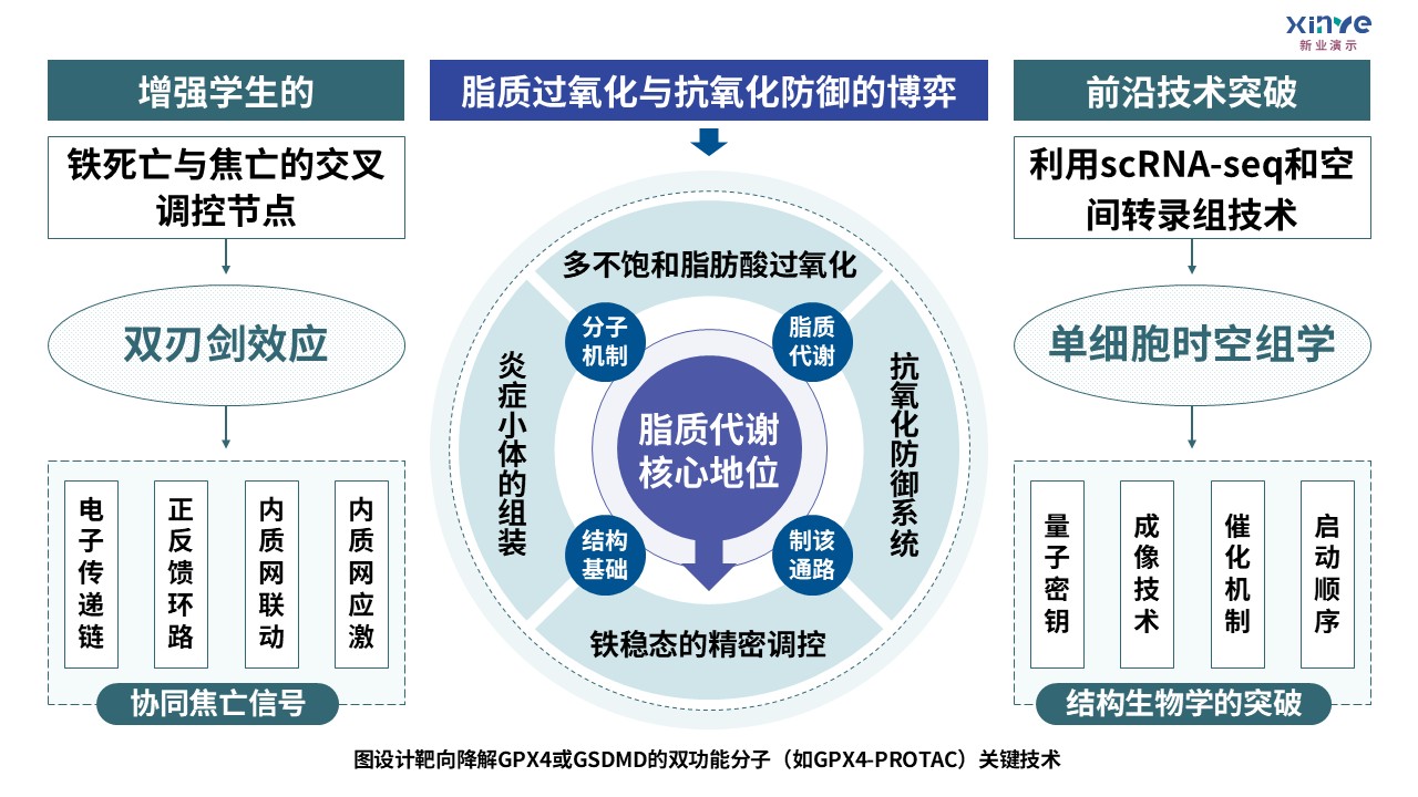 3-2损伤相关分子模式第6页预览图