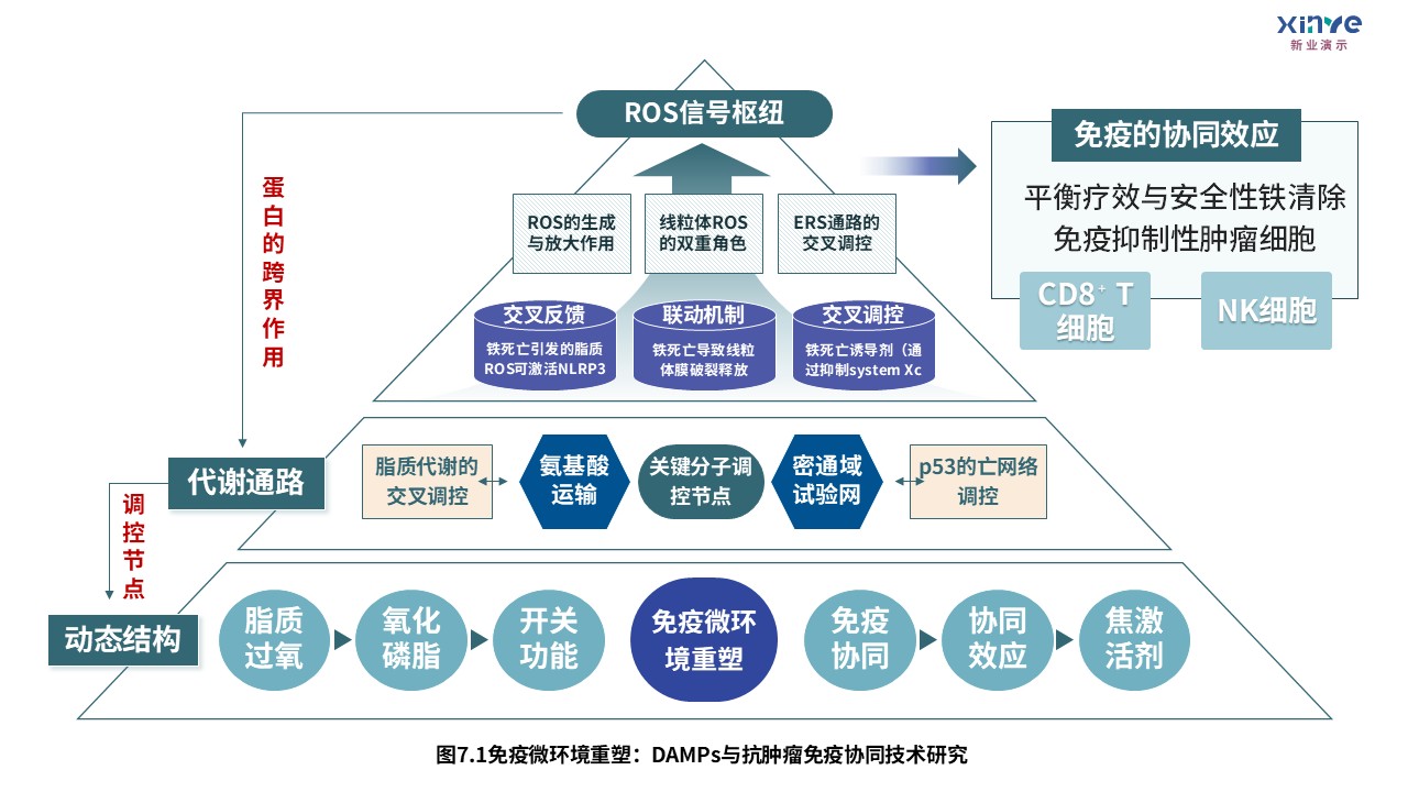 3-2损伤相关分子模式第7页预览图