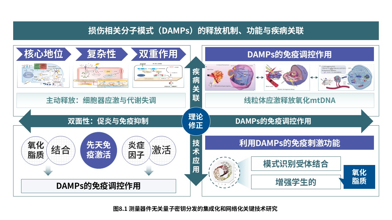 3-2损伤相关分子模式第8页预览图