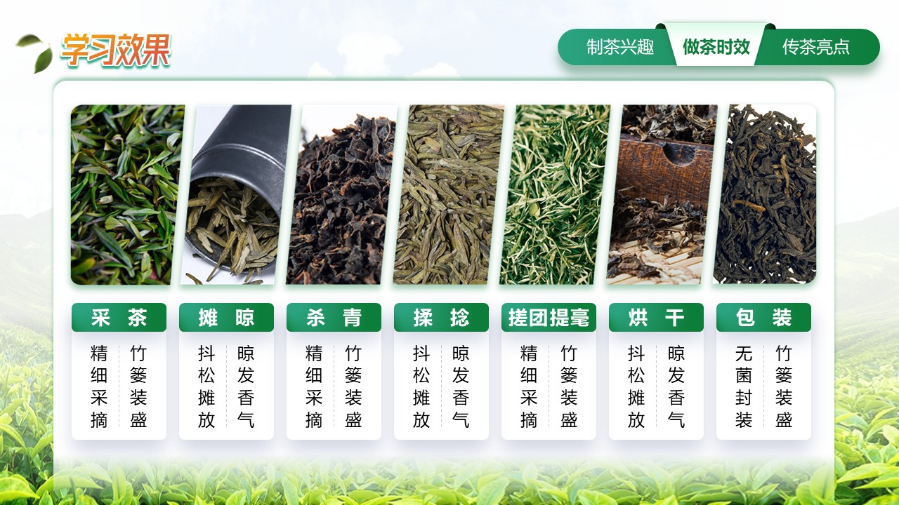 《绿茶加工与审评检验》教学实施报告第5页预览图