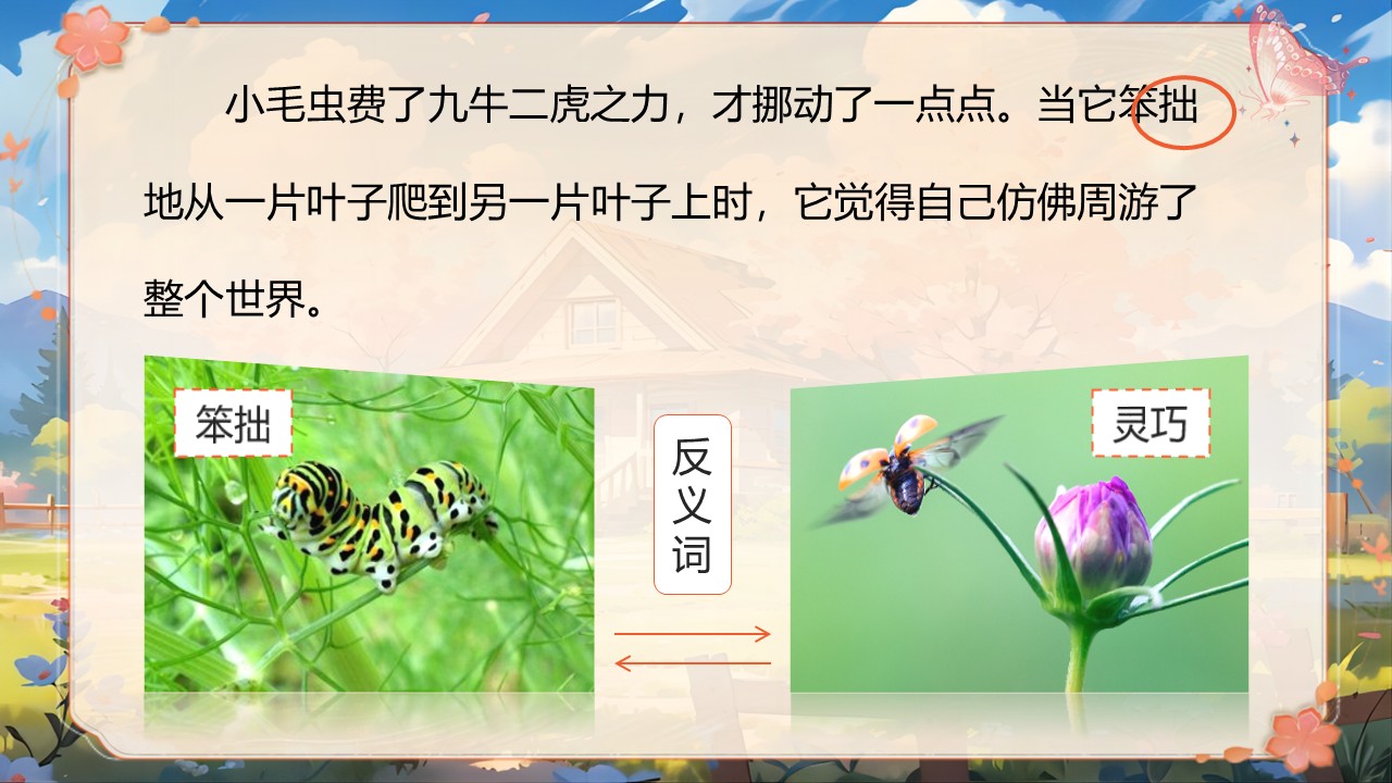 《小毛虫》第32页预览图