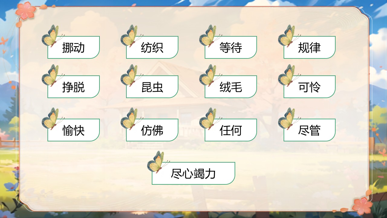 《小毛虫》第44页预览图
