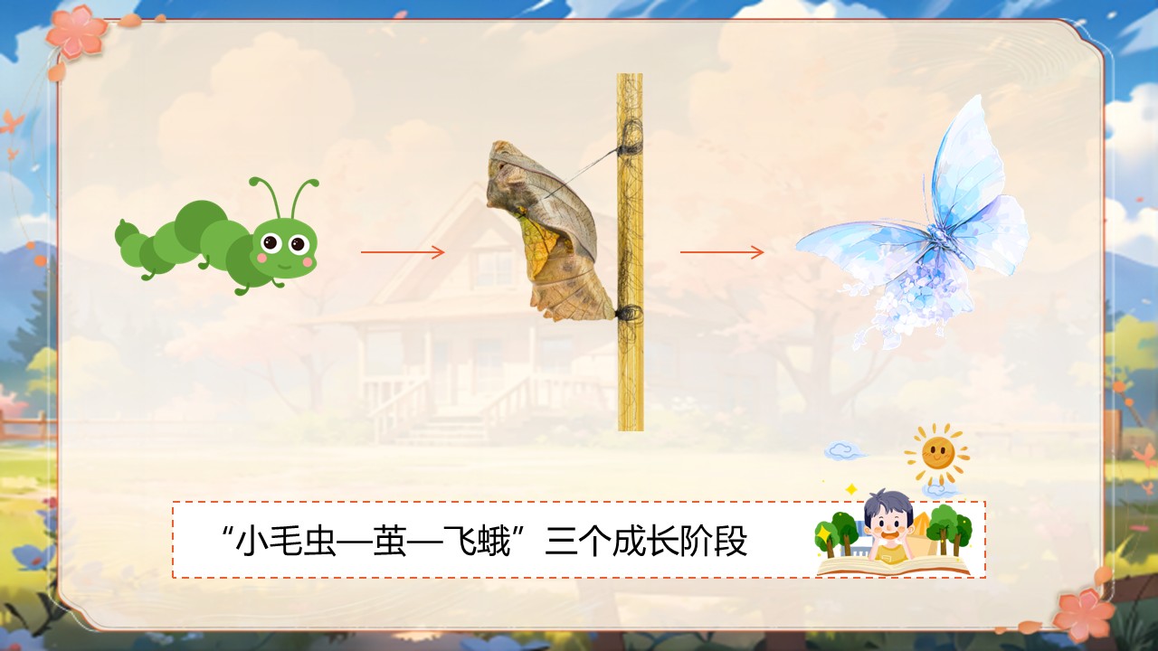 《小毛虫》第47页预览图