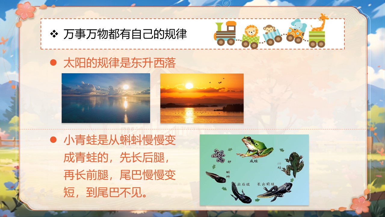 《小毛虫》第56页预览图