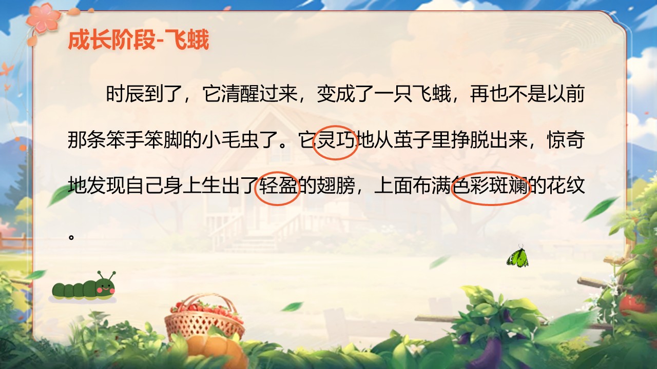 《小毛虫》第58页预览图