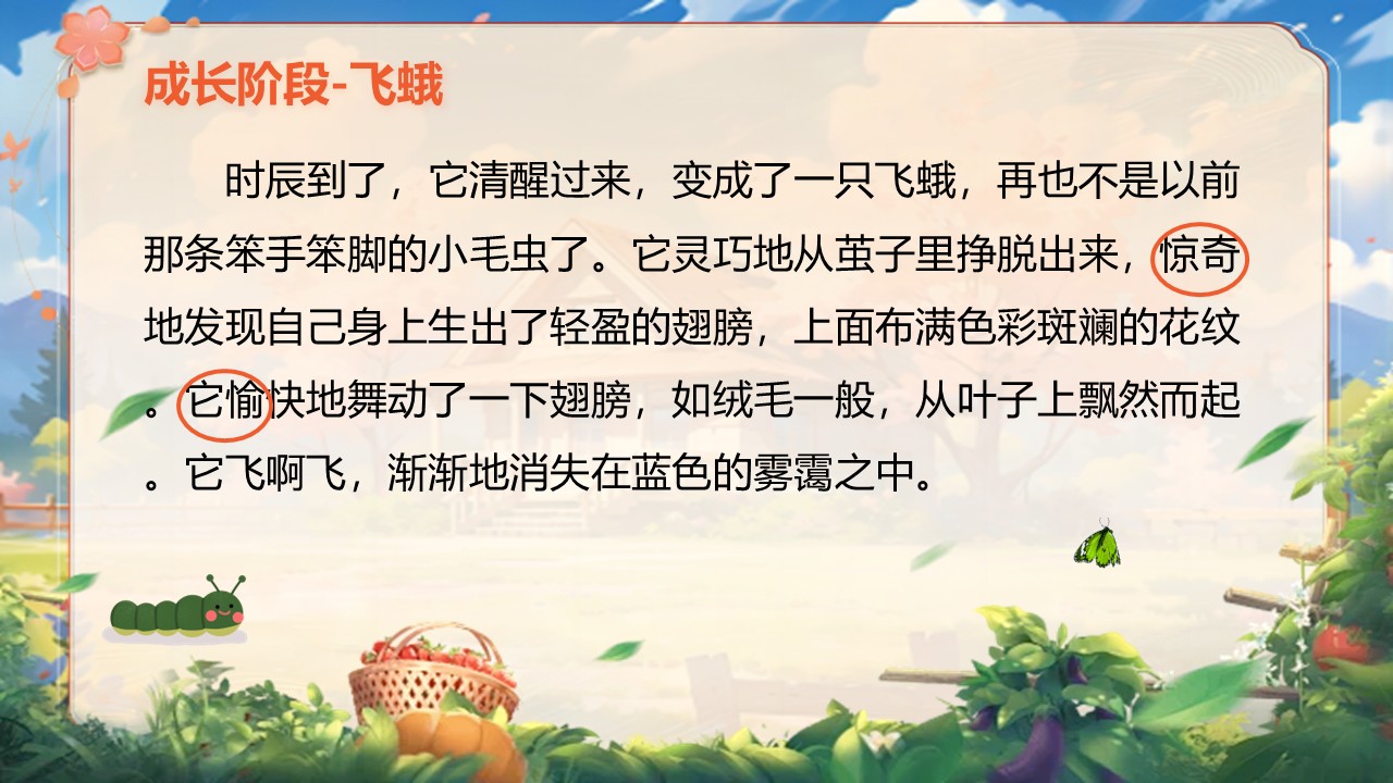 《小毛虫》第59页预览图