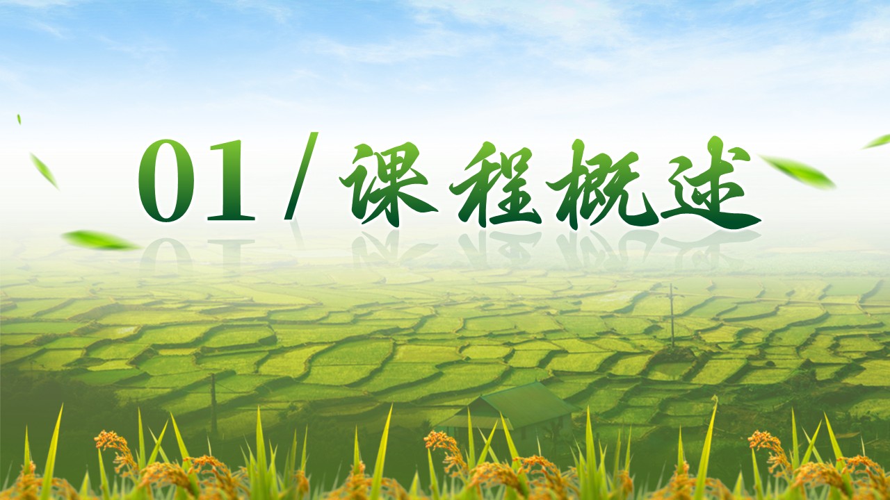 《数字土壤以时为鉴》教学创新大赛第3页预览图