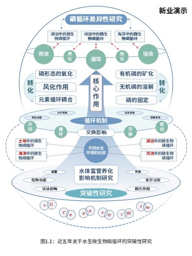 3-1水生生态系统中的微生物磷循环