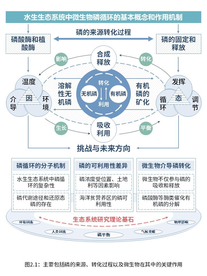 3-1水生生态系统中的微生物磷循环第2页预览图