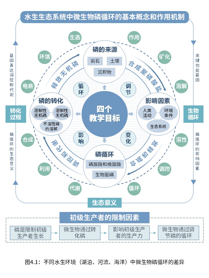 3-1水生生态系统中的微生物磷循环第4页预览图