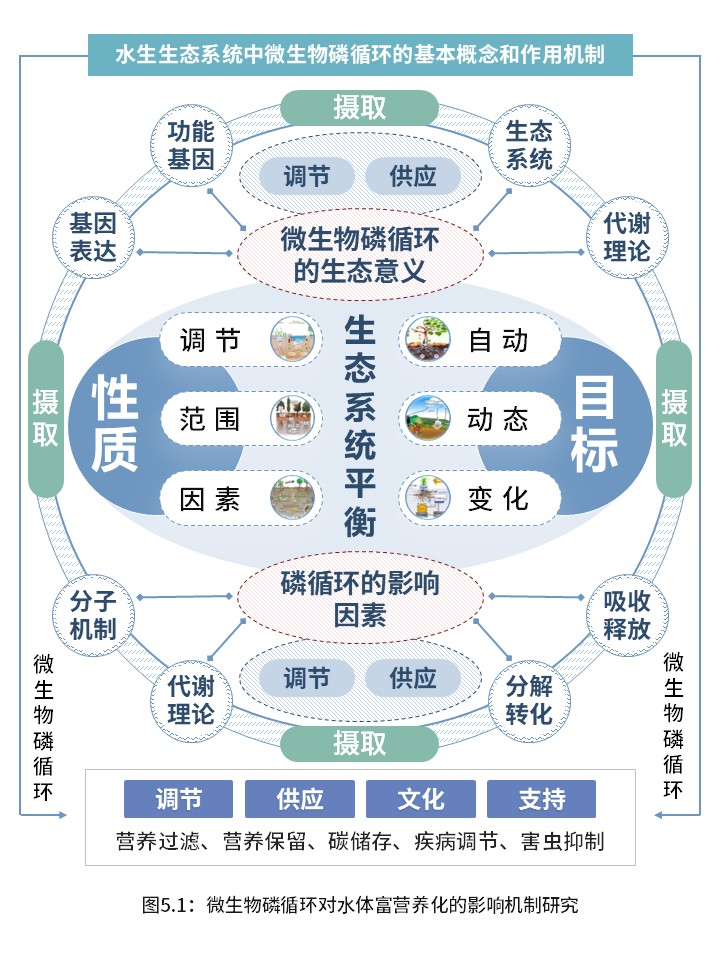 3-1水生生态系统中的微生物磷循环第5页预览图