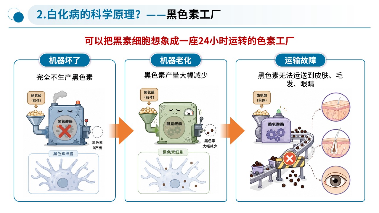 95-白化病健康科普第5页预览