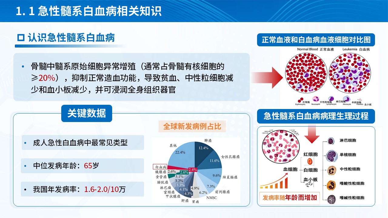 289期-护理查房-一例急性髓系白血病循证护理查房 第3页预览