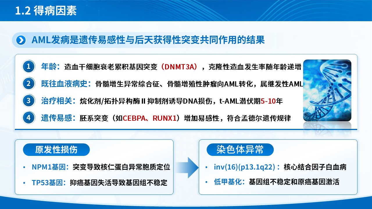 289期-护理查房-一例急性髓系白血病循证护理查房 第5页预览