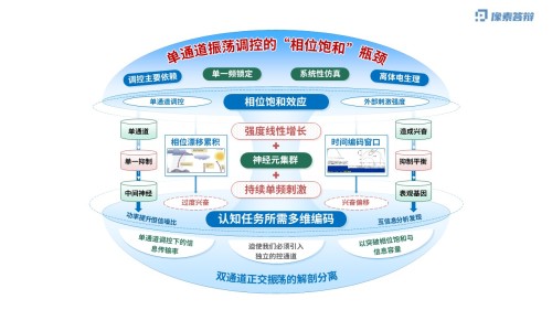 科研架构图(神经元双通道振荡调控虚构-蓝色)