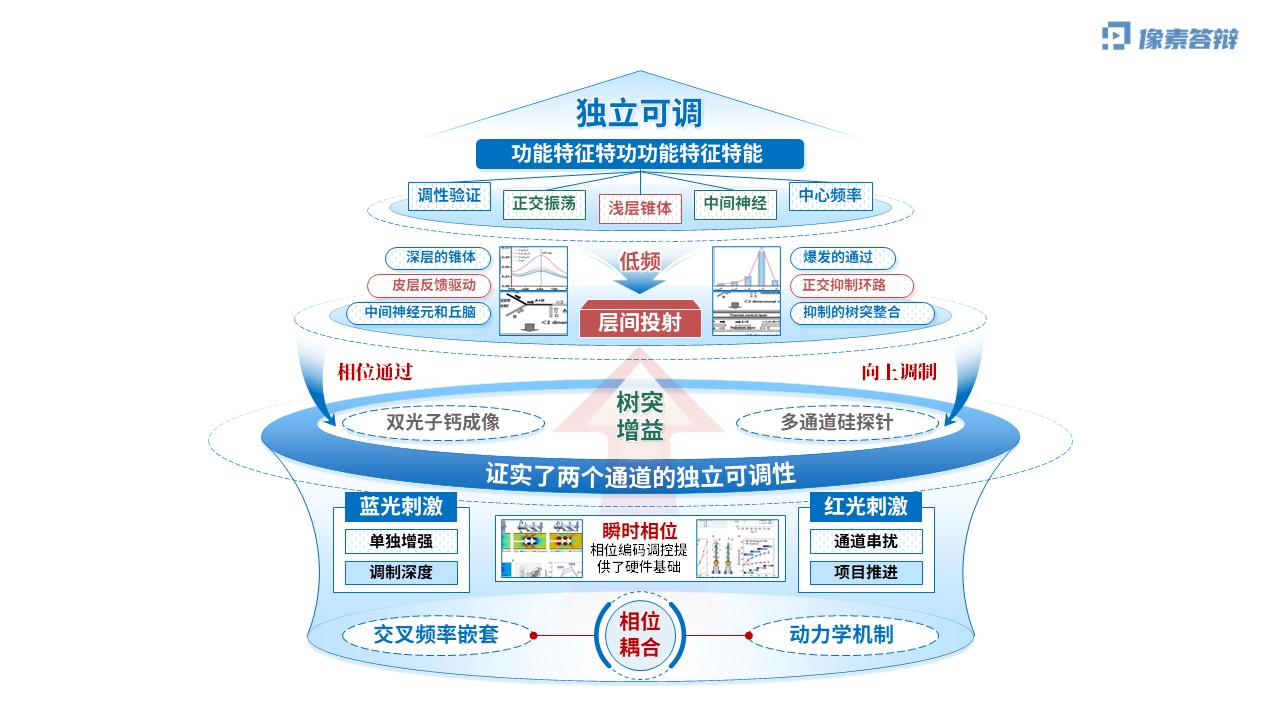 科研架构图（神经元双通道振荡调控虚构-蓝色)第2页预览图