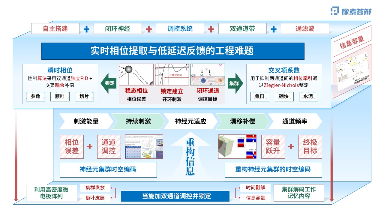 科研架构图（神经元双通道振荡调控虚构-蓝色)第4页预览图