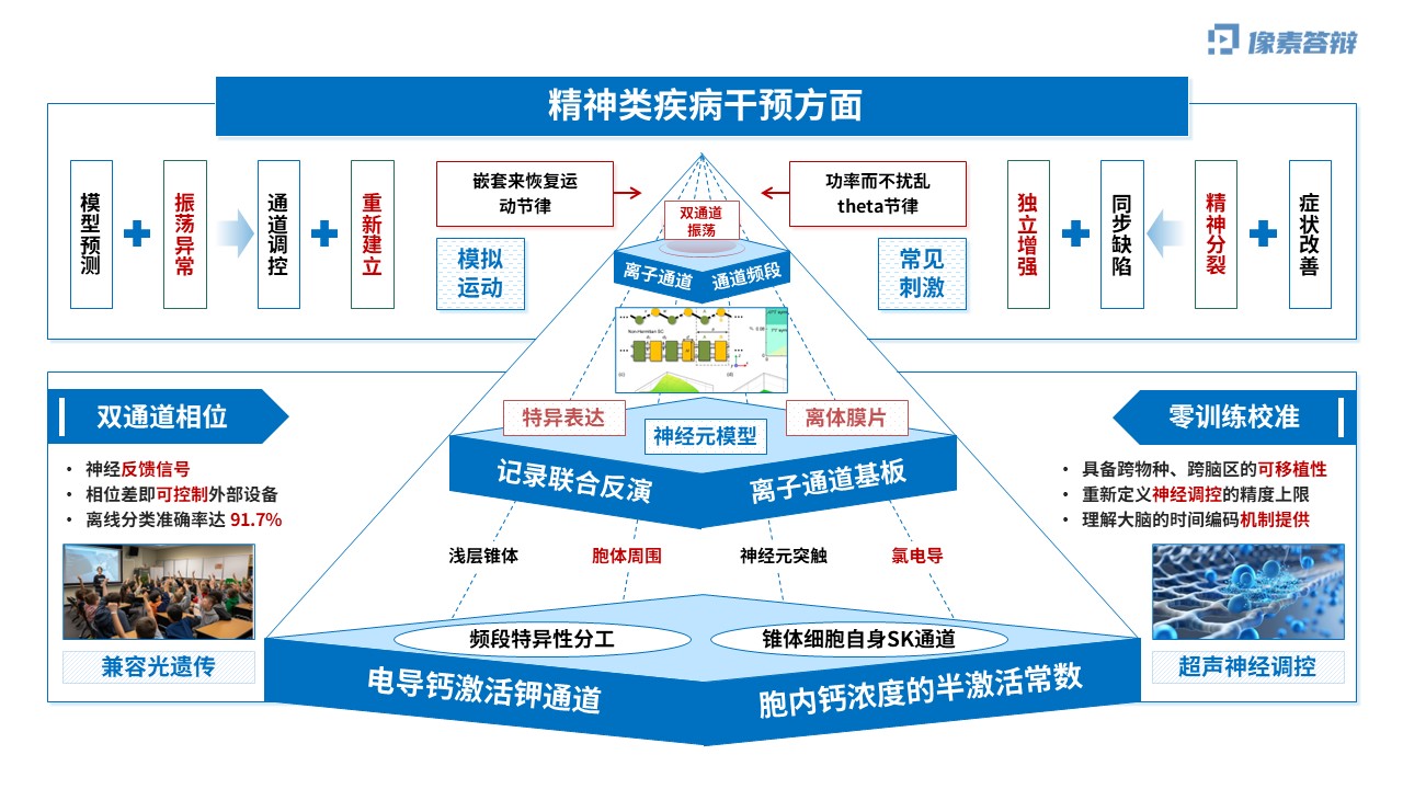 科研架构图（神经元双通道振荡调控虚构-蓝色)第6页预览图