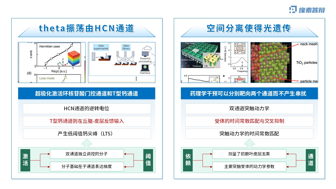科研架构图（神经元双通道振荡调控虚构-蓝色)第7页预览图