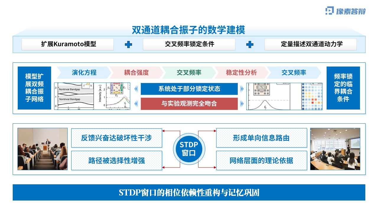 科研架构图（神经元双通道振荡调控虚构-蓝色)第8页预览图