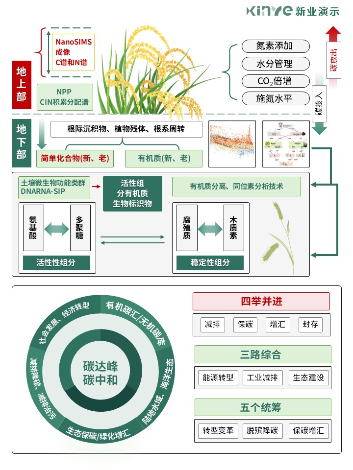 31-2科研绘图(碳循环-绿色)第2页预览图