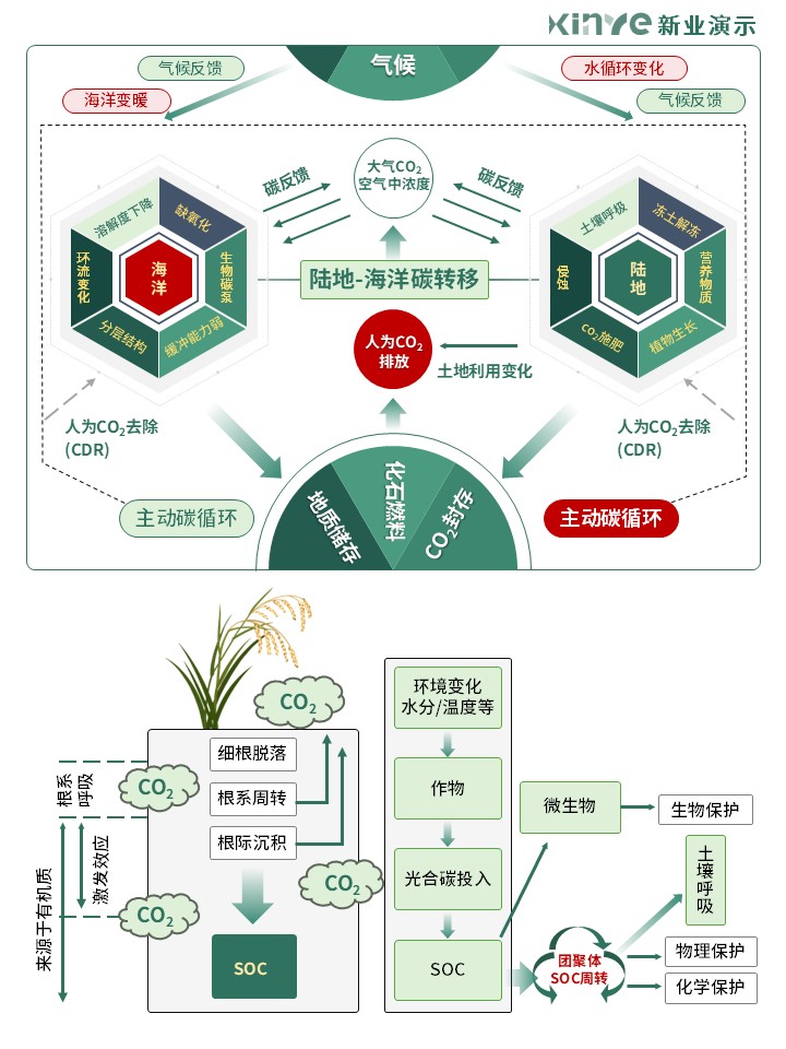 31-2科研绘图(碳循环-绿色)第3页预览图
