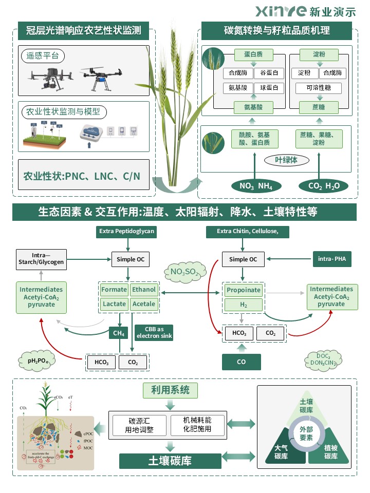 31-2科研绘图(碳循环-绿色)第4页预览图
